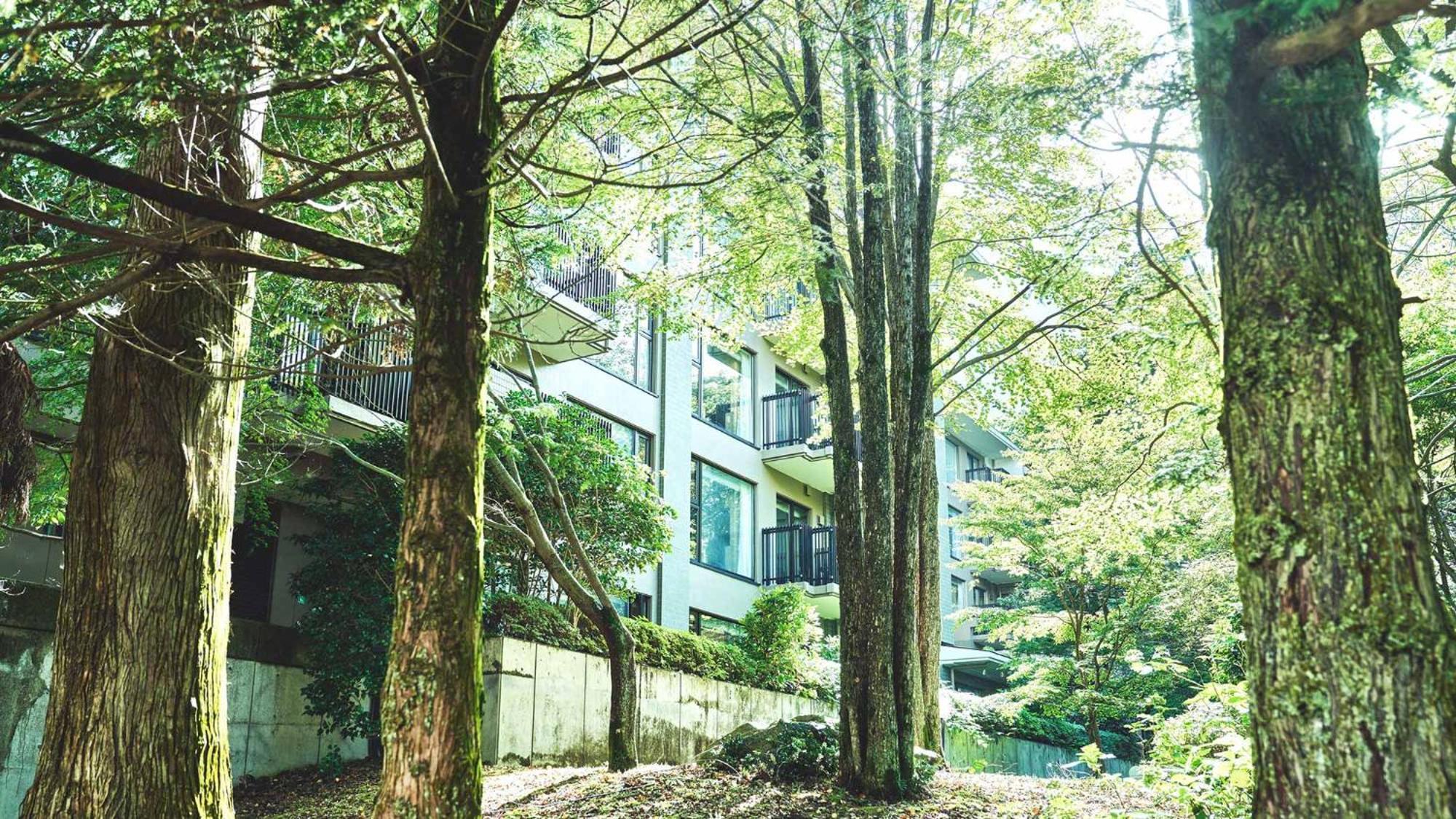 מלון Tokyu Vacations Hakone Gora מראה חיצוני תמונה